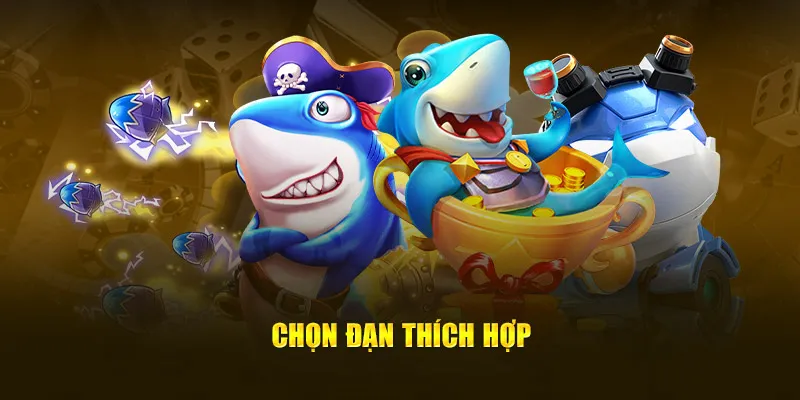 Chọn đạn thích hợp