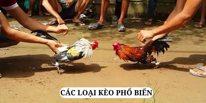 Meron, wala, BDD là ba loại kèo thông dụng